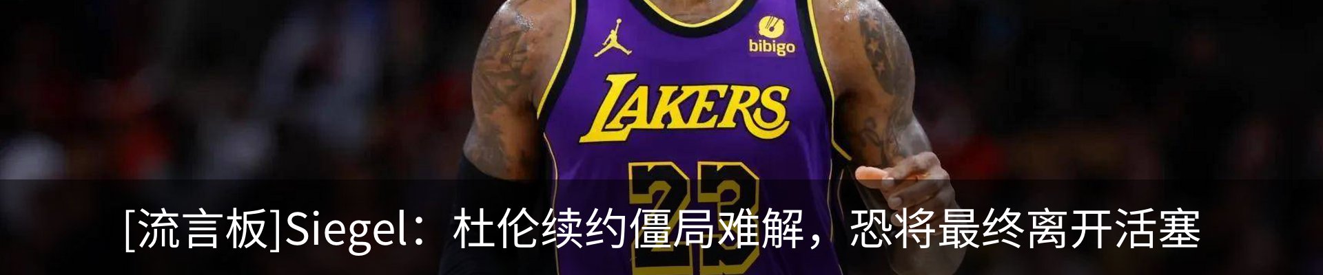 最新动态